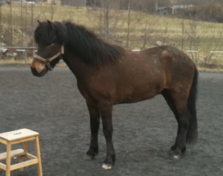 Skärmavbild 2013-05-06 kl. 09.04.13