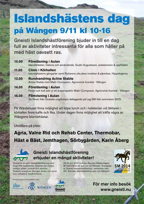 gneisti_islandshastens-dag