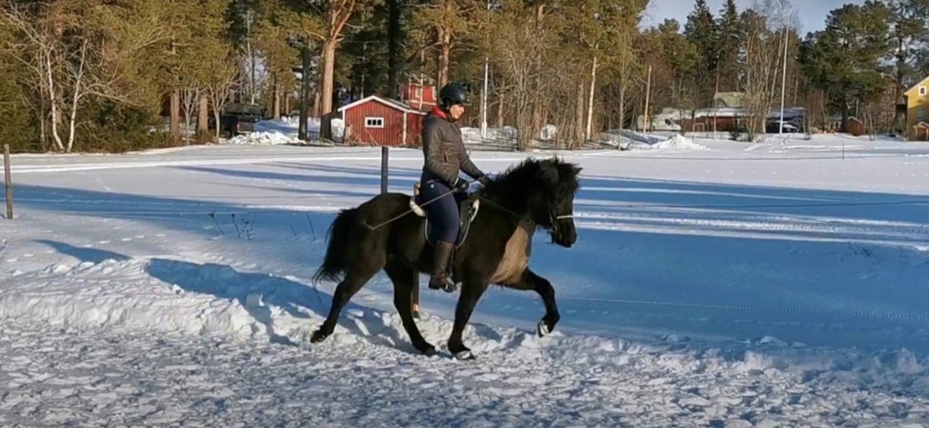 Lektioner på fredagar i Mattmar dagtid