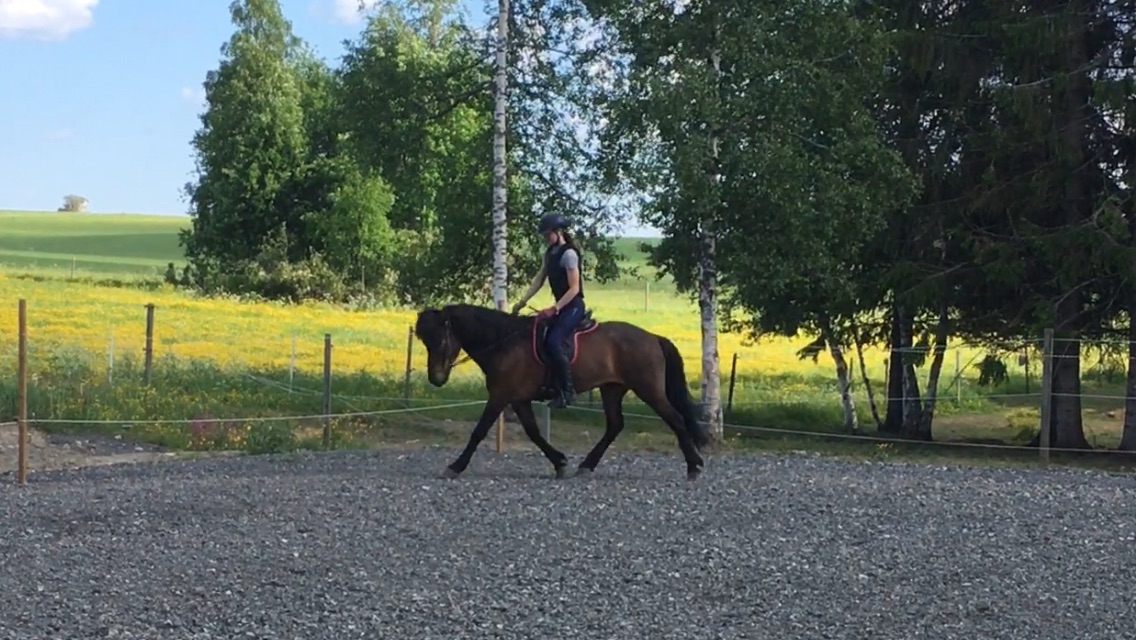 Lektionsdagar i Mattmar våren 2024