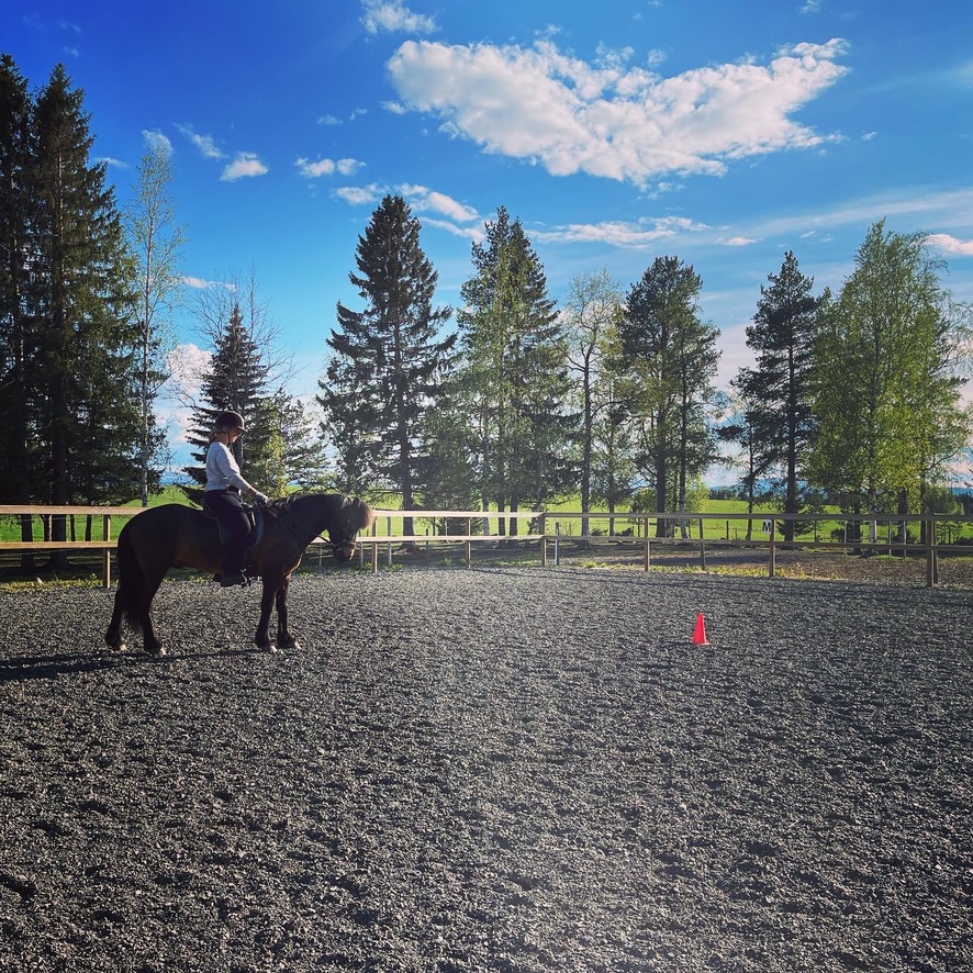 Temadag & lektioner 2-3 september 2023