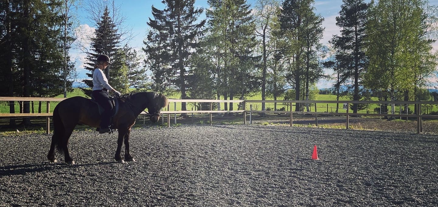 Lektionsdagar Sommar & Höst 2022