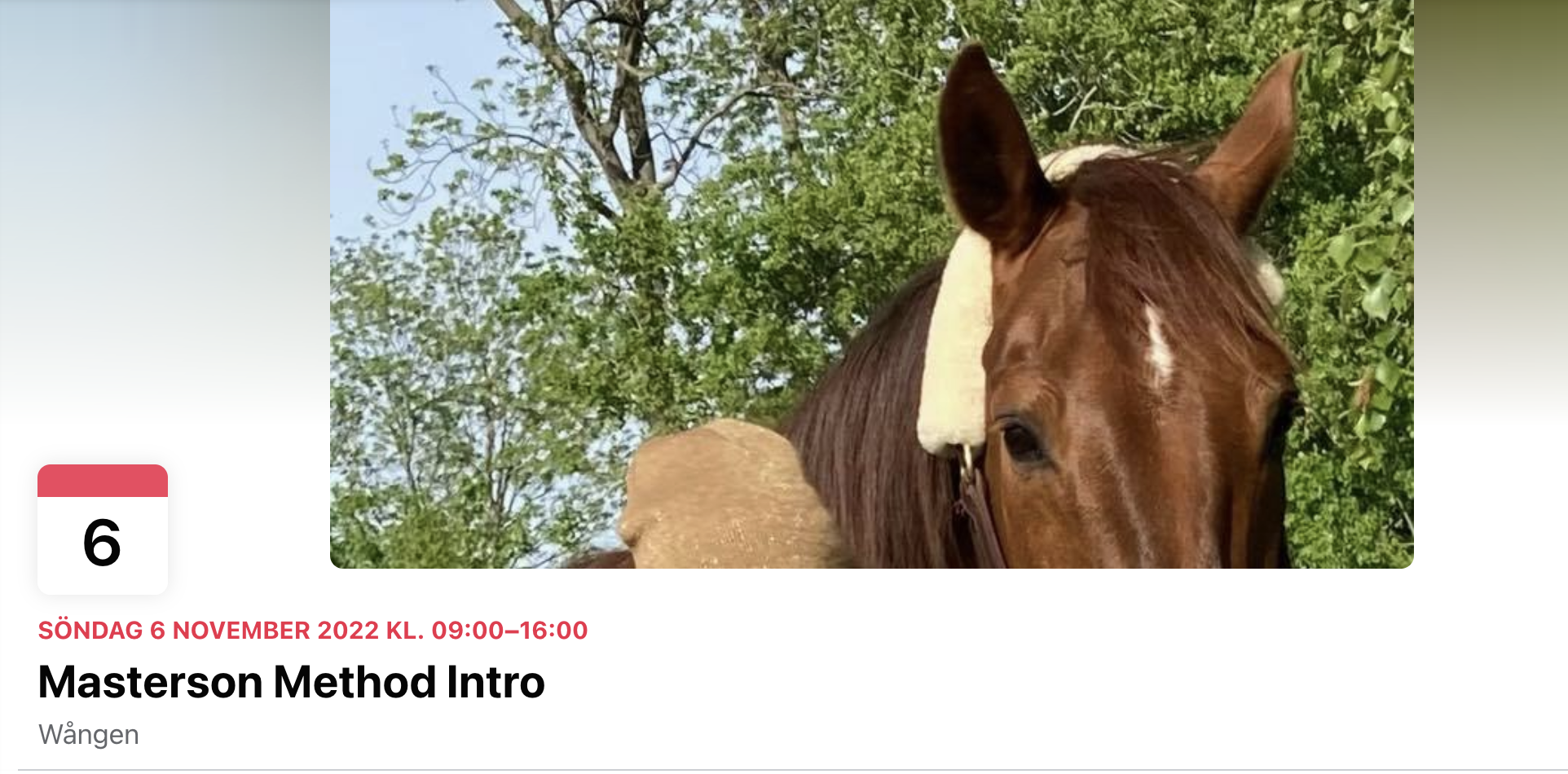 Introkurs Masterson Method 6 november med Louise Snellman