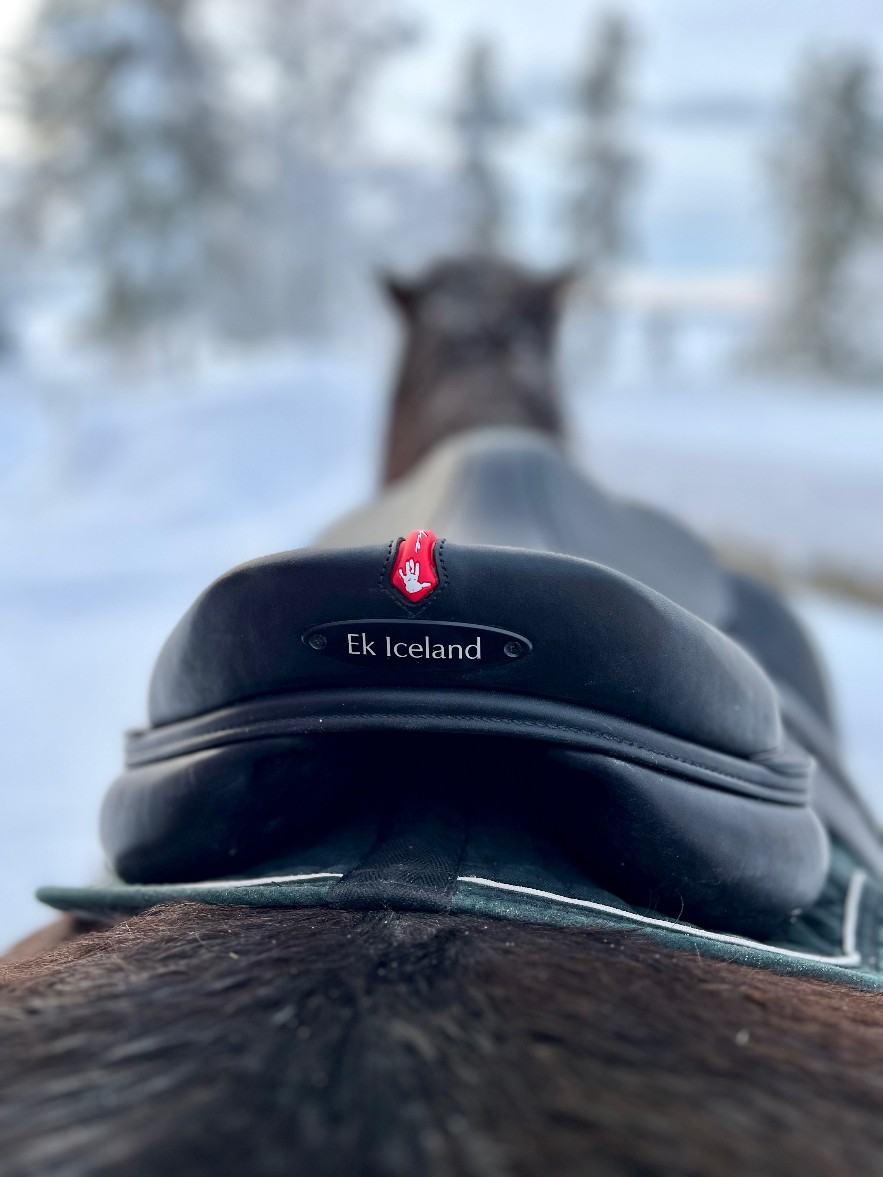 Ekipageanalys & Sadelprovning